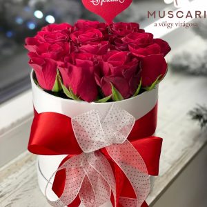 Vörös rózsa „Kisbox”